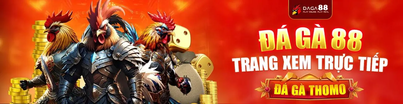 Hình ảnh đá gà trực tuyến 5699 trang chủ